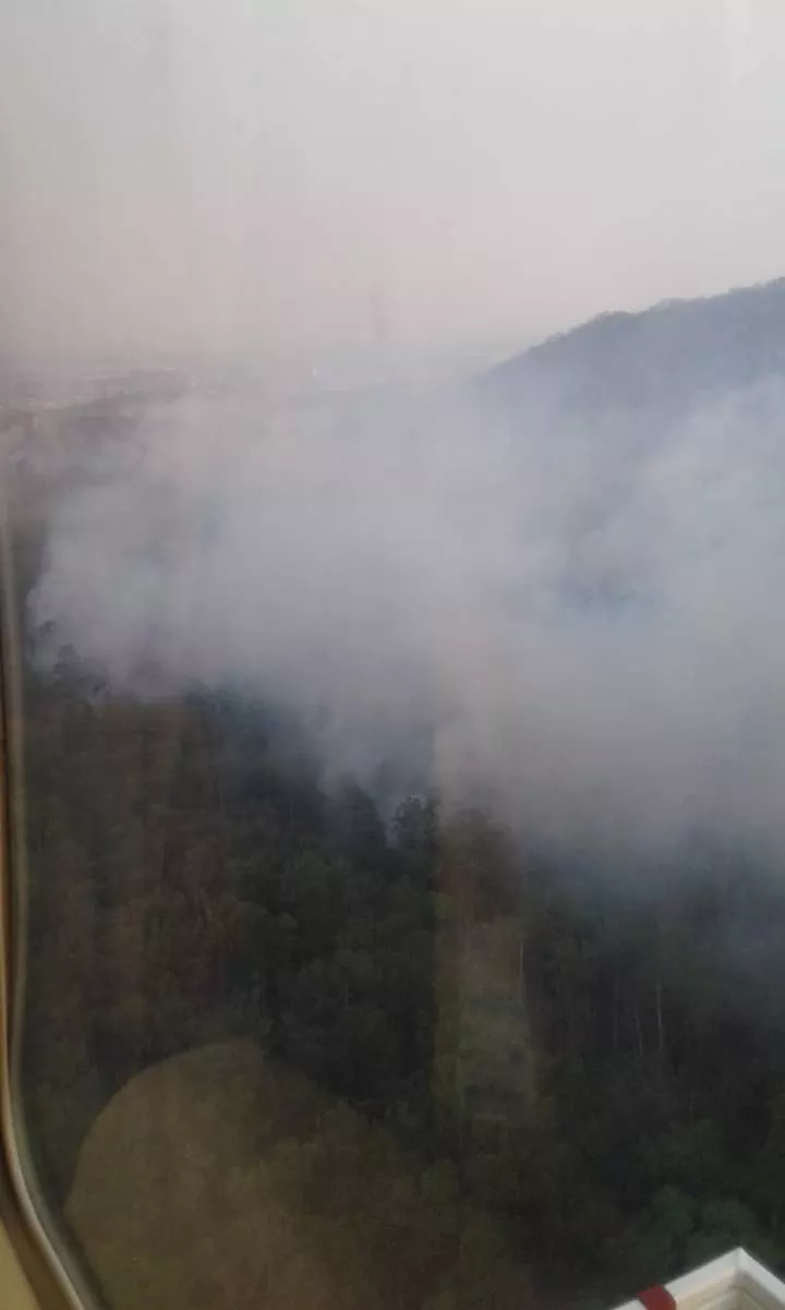 FB_IMG_1661648307264