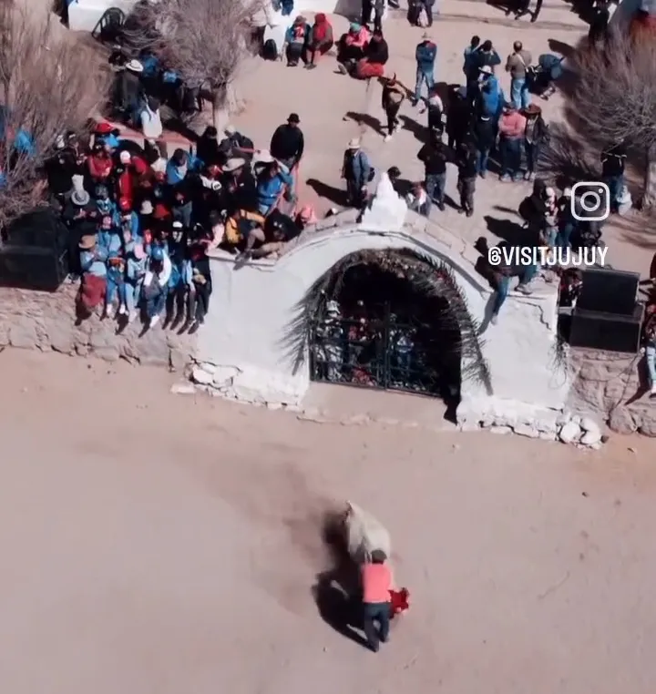 Screenshot_20240815-204244_Facebook