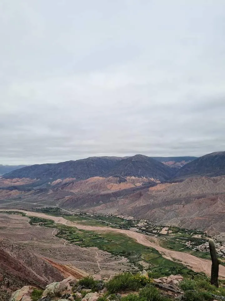 FB_IMG_1711224613779