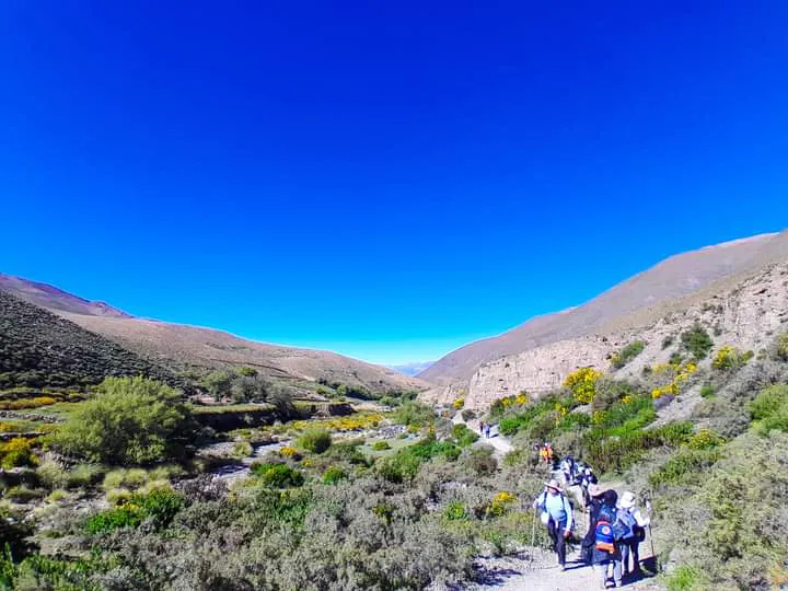 facebook punta corral 2024 (129)