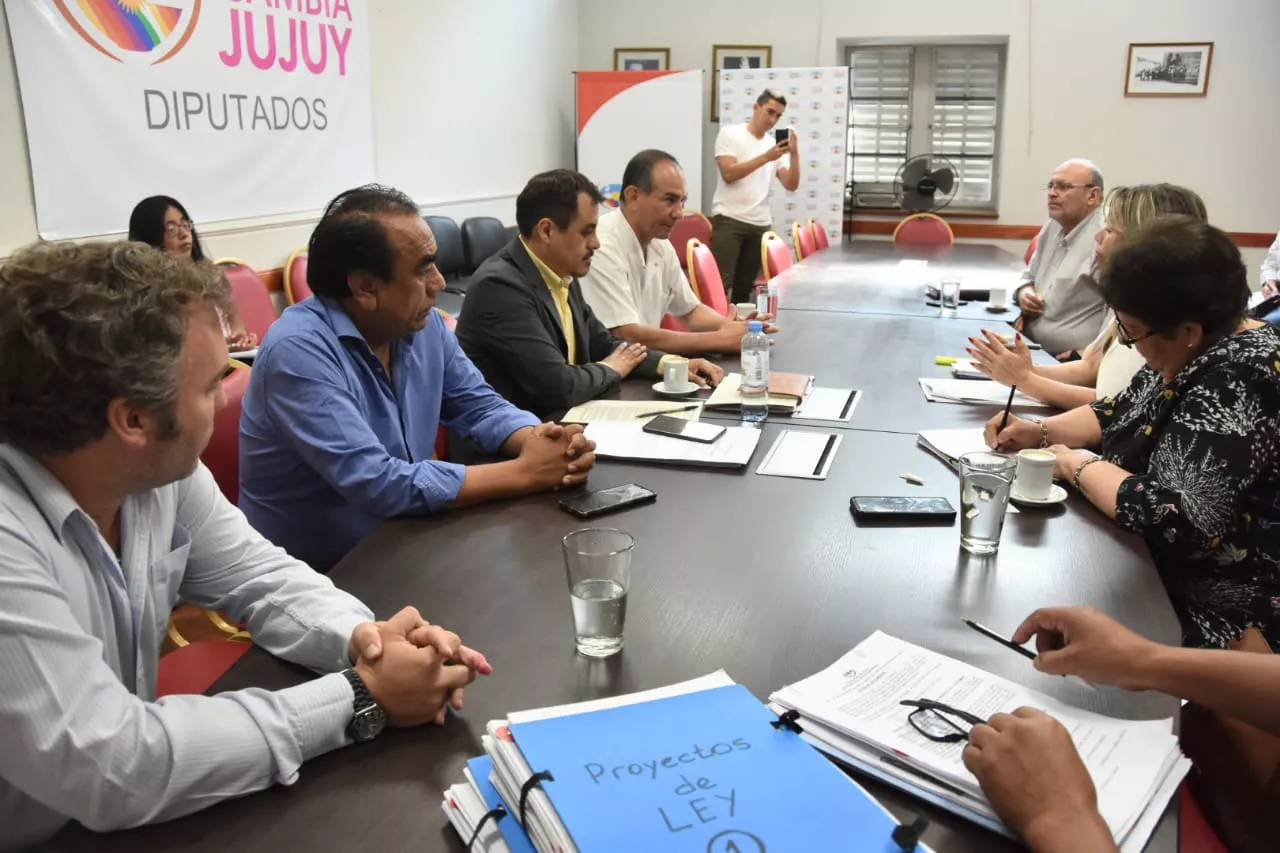 LEGISLATURA COMISION SALUD