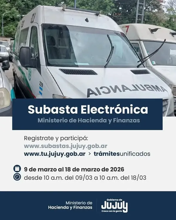 vehiculos subasta electronica1
