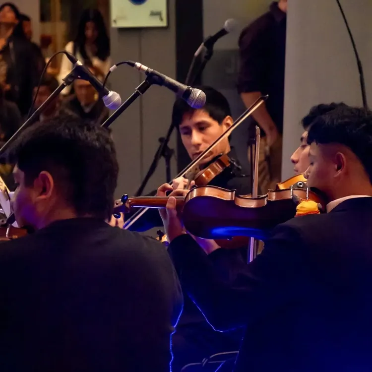 CAMERATA RICARDO VILCA2