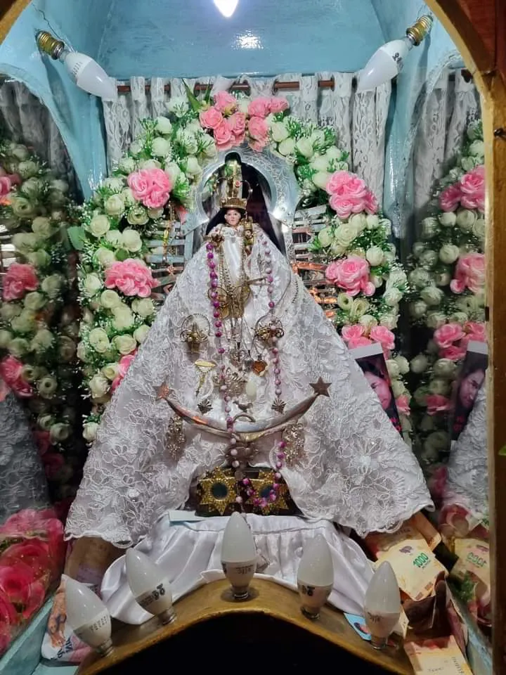 facebook punta corral 2024 (7)