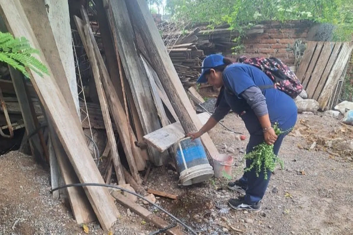 PREVENCION CHIKINGUYA