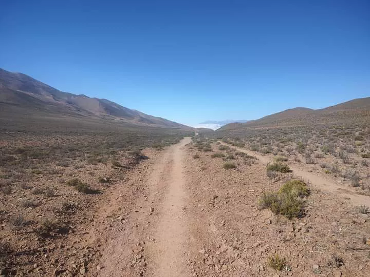 FB_IMG_1680453785968