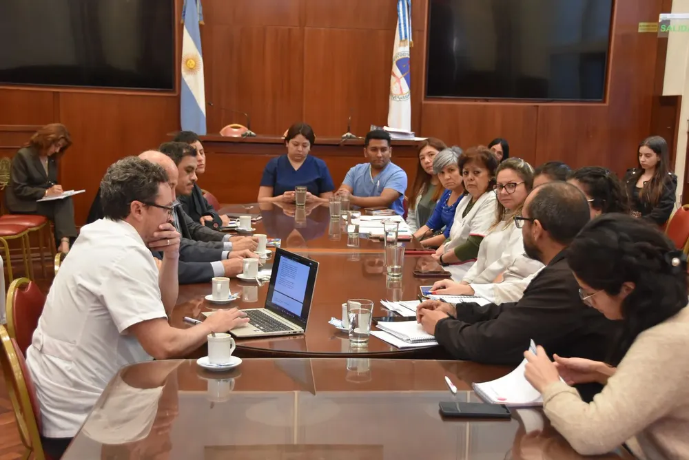 medicos residentes comisión salud legislatura