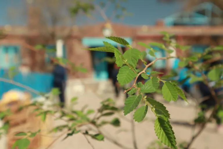 WhatsApp-Image-2024-09-05-at-17.43.36-5-768x512