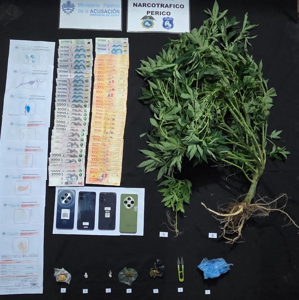 lucha-contra-el-narcomenudeo-jujuy-allanamientos-detenidos-y-secuestro-sustancias1