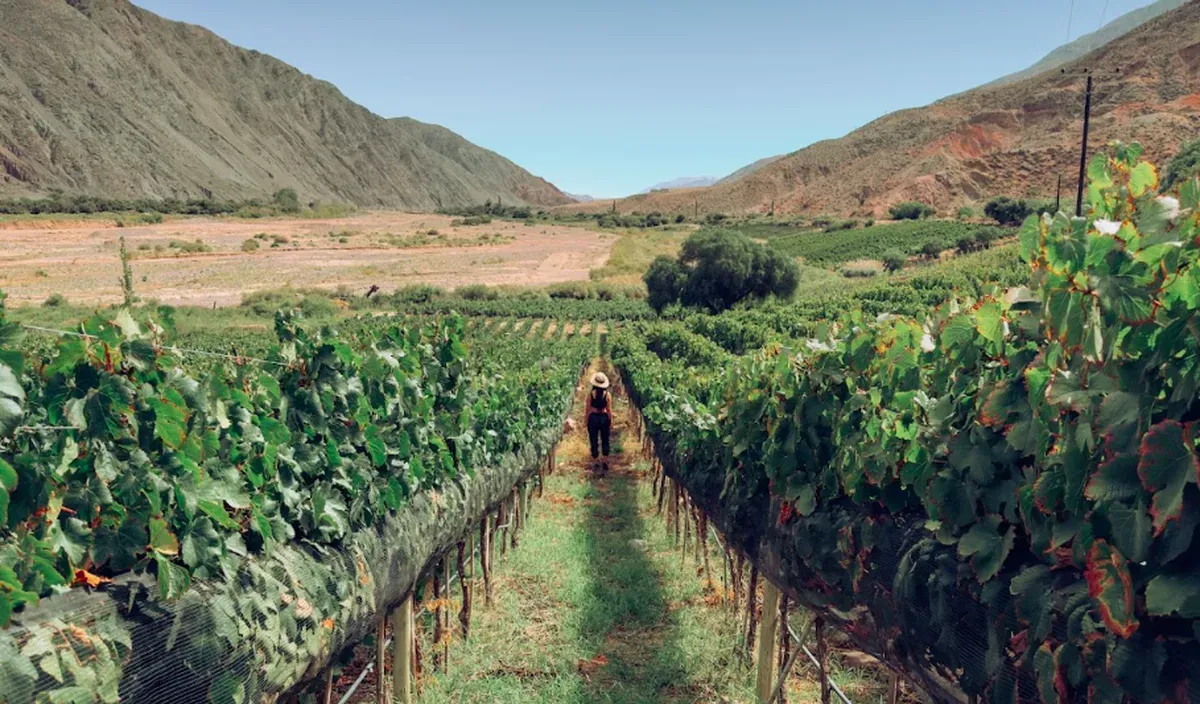enoturismo quebrada2