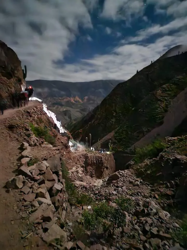 facebook punta corral 2024 (53)