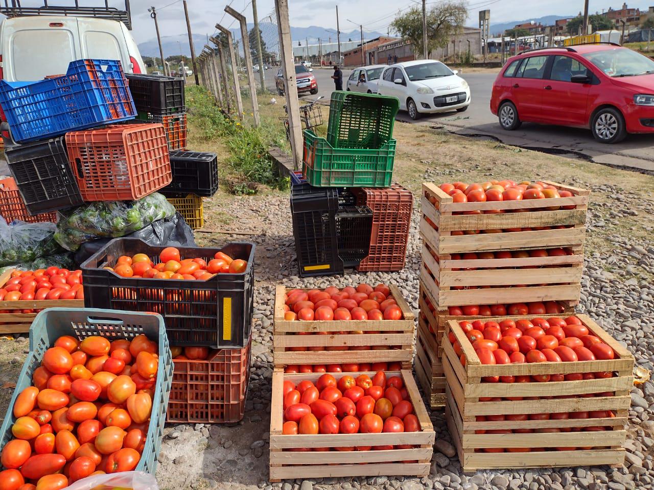 WhatsApp Image 2021-06-08 at 16.47.50