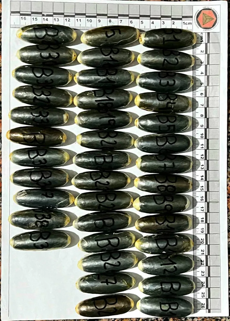 jujuy-capsuleros-detenidos-2_kilos_de_cocaina-182_capsulas_2