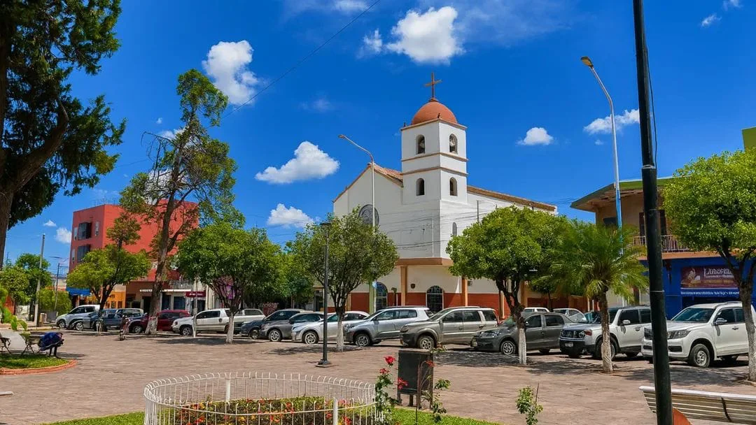 perico fiestas patronales san jose