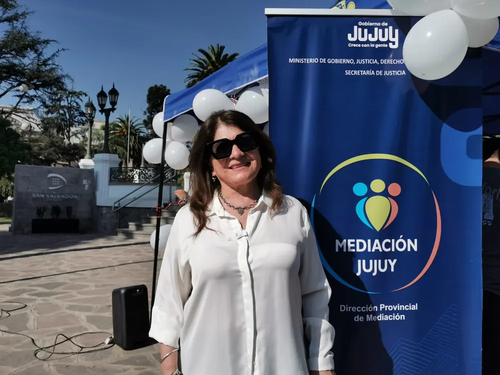 MEDIACION JUJUY
