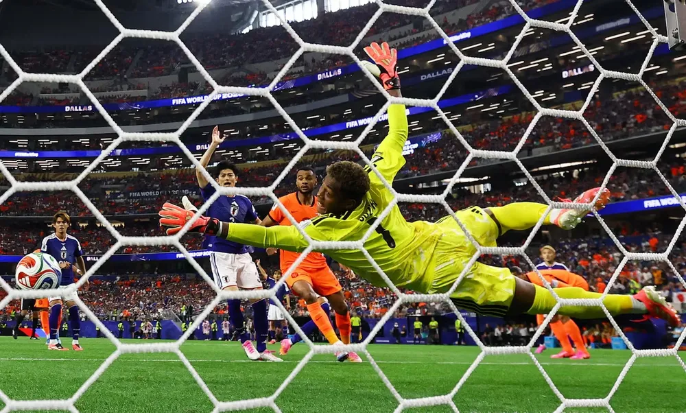 japon paises bajos mundial