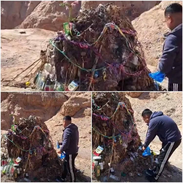 Chaya mojones maimara 6