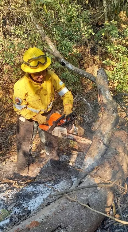 incendio forestan emergencia