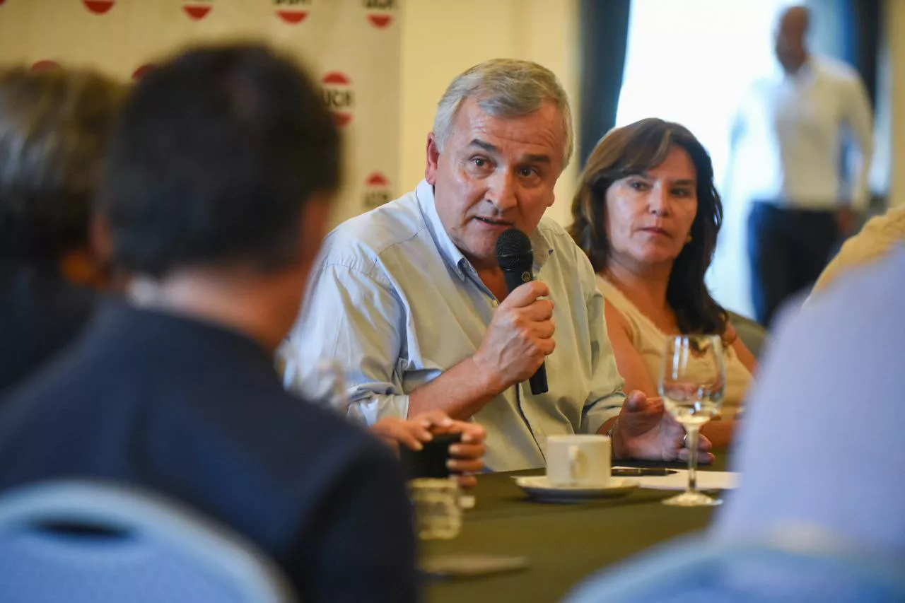 mar del plata radicalismo1