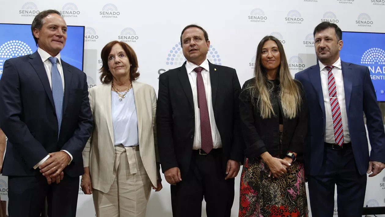 senadores bloque federal