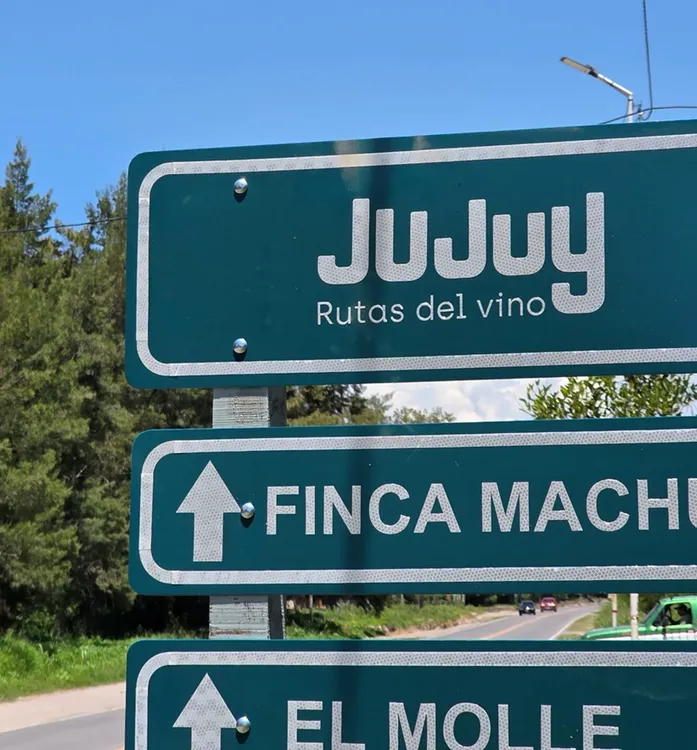 ruta del vino jujuy