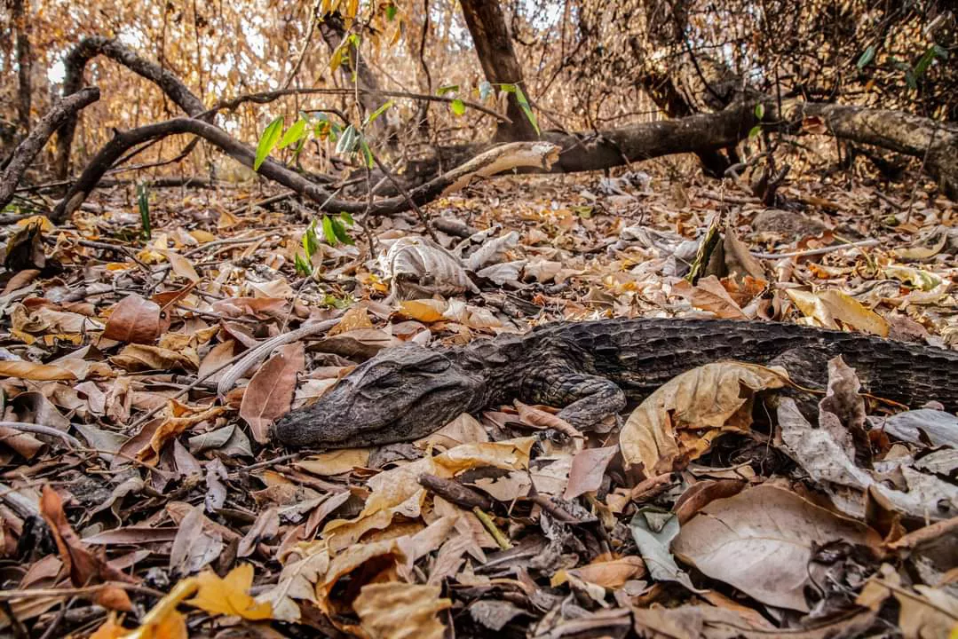 FB_IMG_1645300974255