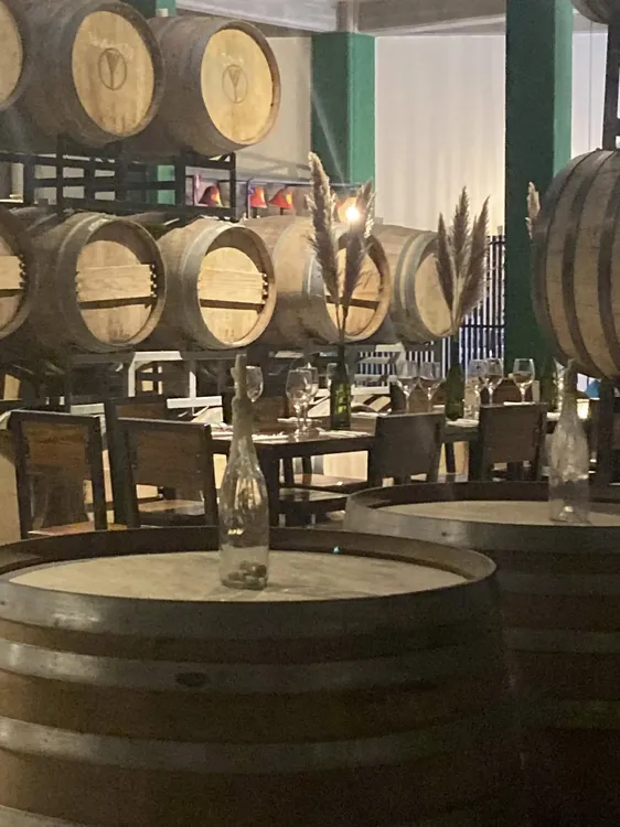 antopo wine bodega vinos1