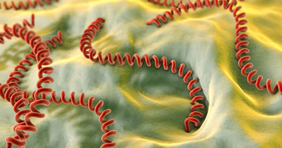 Leptospirosis JUJUY