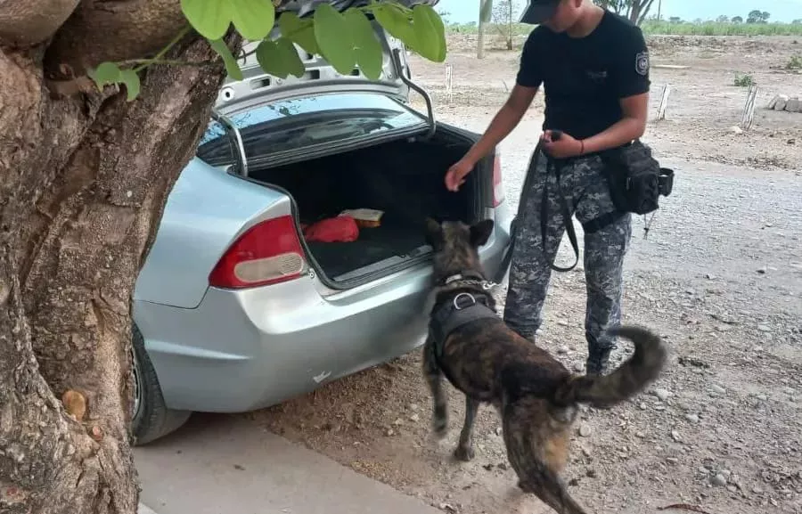 narcoticos operativo1