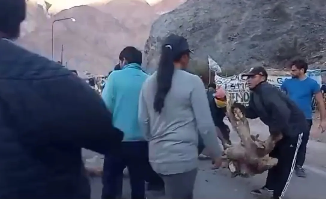 Screenshot_20230721-190843_WhatsApp