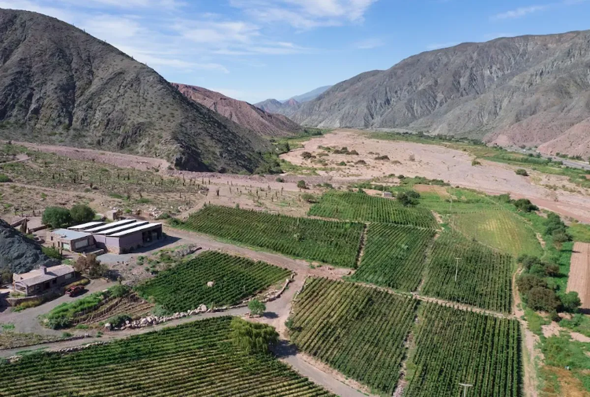 enoturismo quebrada1