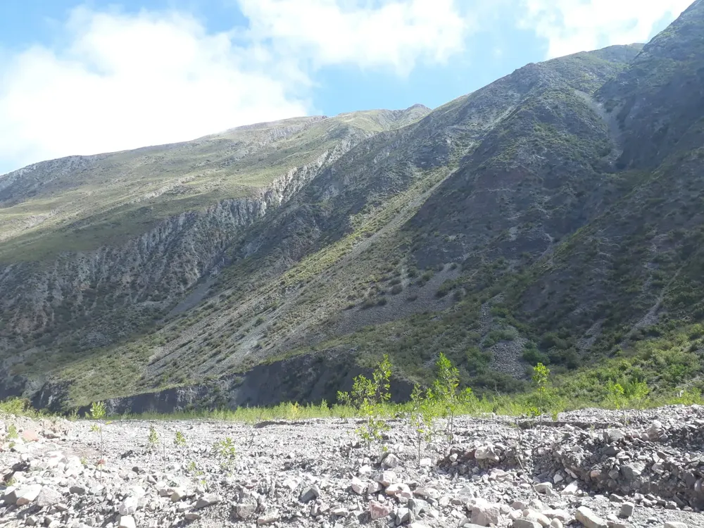 Peregrinación Punta Corral 2025 4