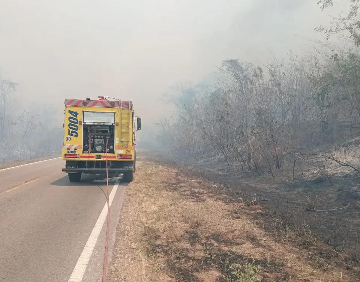 incendios forestal ledesma santa barbara5