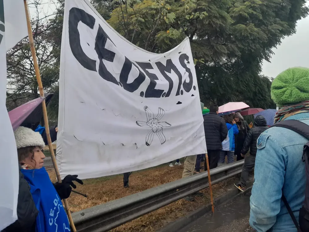 cedems asamblea bandera