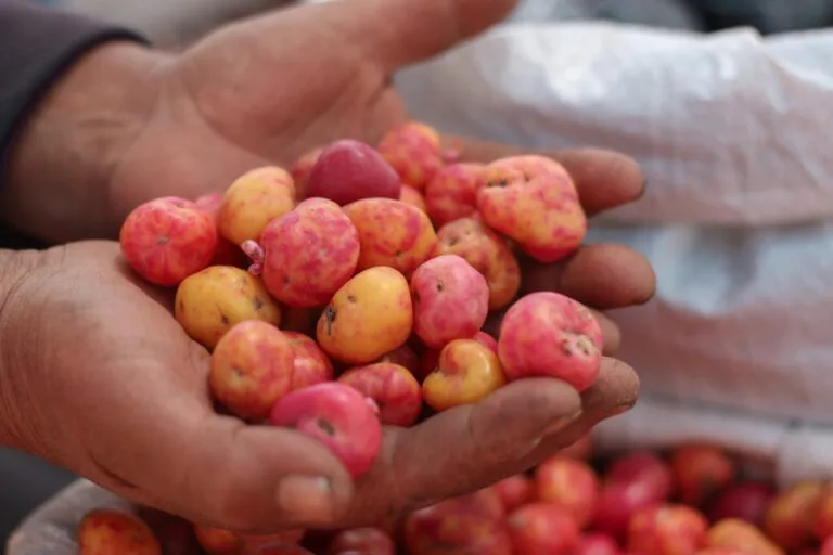 WhatsApp-Image-2024-09-19-at-12.24.09-768x512