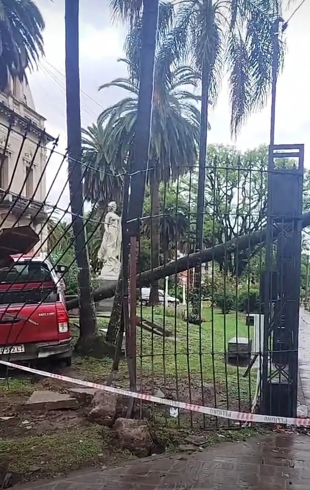 Screenshot_20241103-083910_Facebook