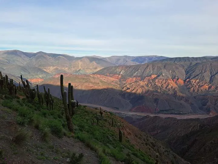 facebook punta corral 2024 (168)