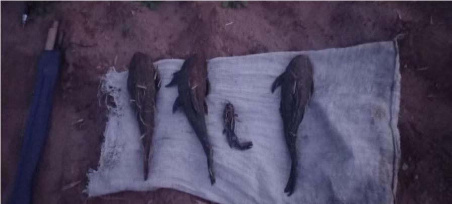 Screenshot_20220123-152722_Facebook