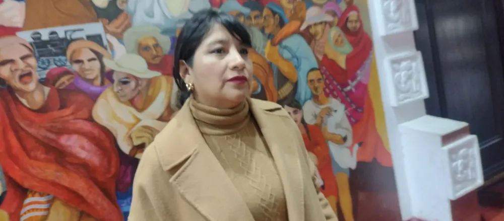 marta paniagua organizaciones feministas