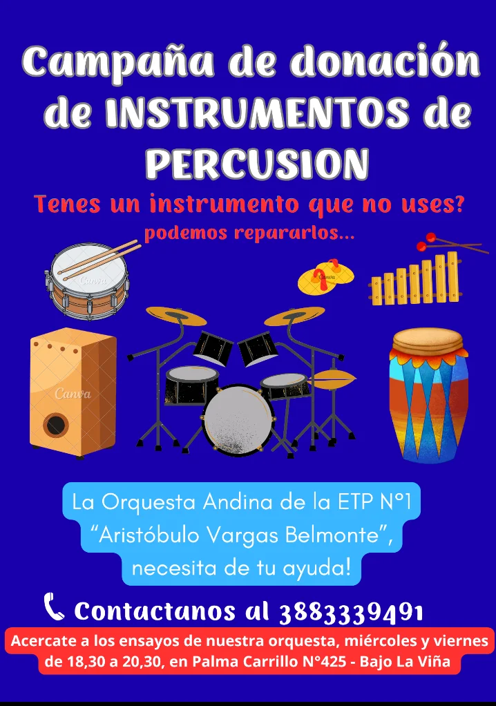 orquesta andina instrumentos