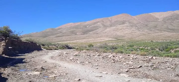 facebook punta corral 2024 (88)