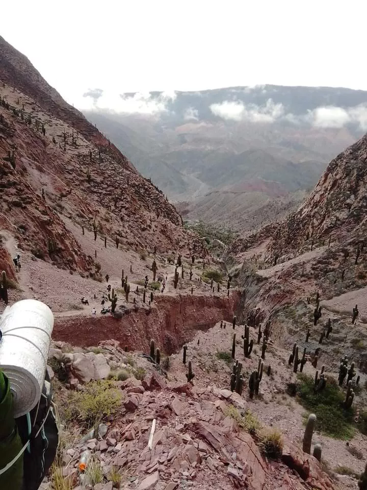 FB_IMG_1680454031070