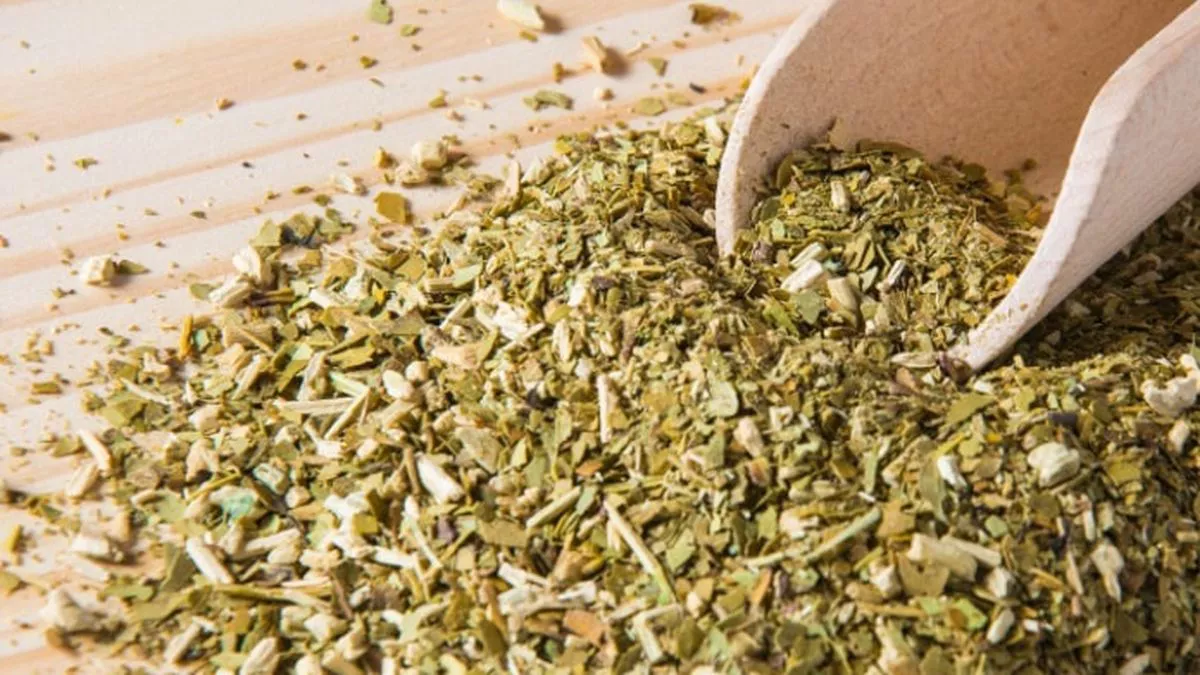 yerba_matejpeg