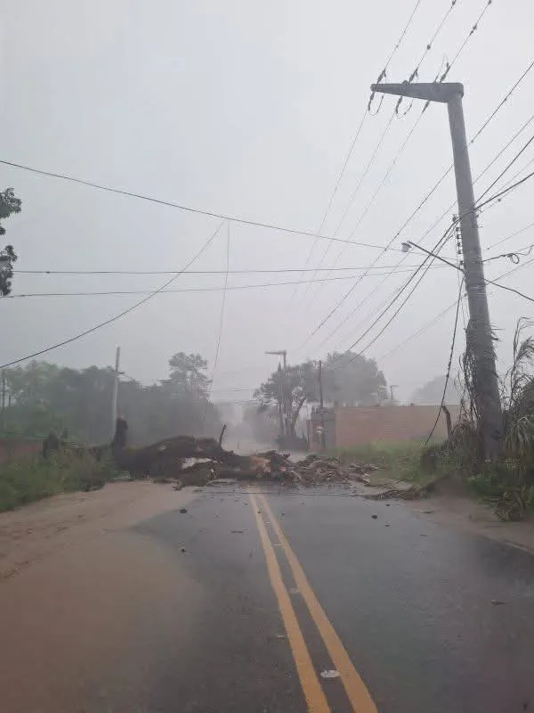 FB_IMG_1766346785450