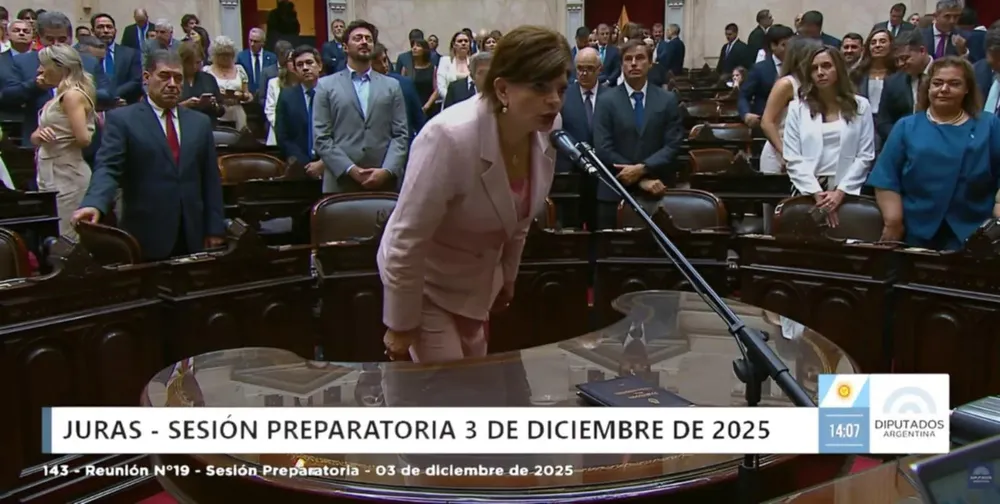 maria ines zigaran jura diputados