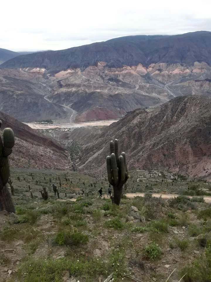 FB_IMG_1711224623623