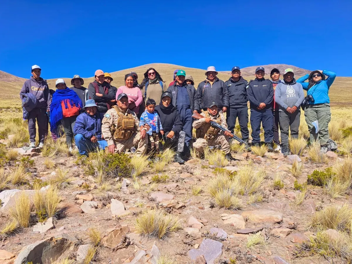 caza vicuña norte jujuy
