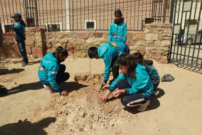 WhatsApp-Image-2024-09-05-at-17.43.38-768x512