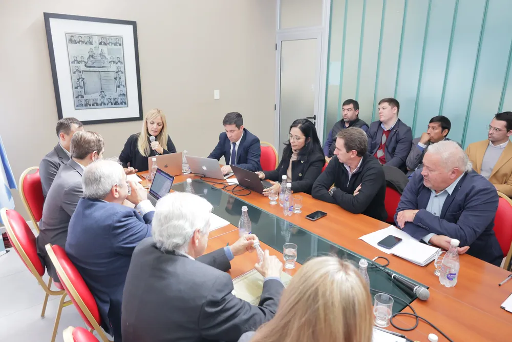 constituyentes tierras fiscales y rurales