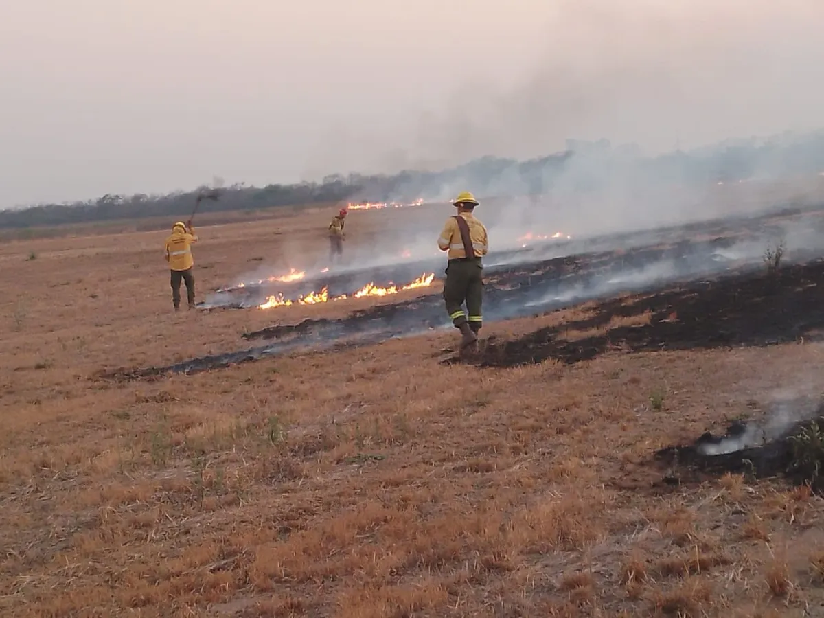 incendios-forestales-jujuy-la-responsabilidad-ciudadana-como-clave-prevenirlos1